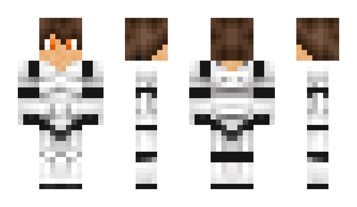 Flapn Minecraft Skin