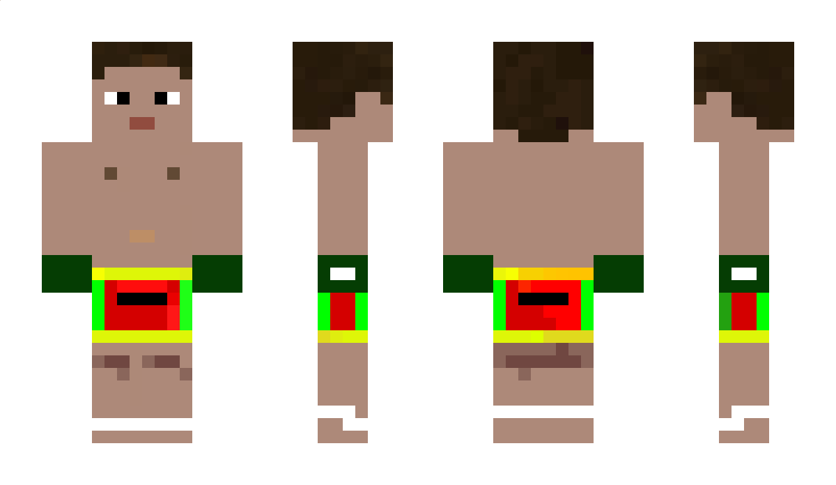 Turtle777 Minecraft Skin