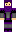 N1njaWolf Minecraft Skin