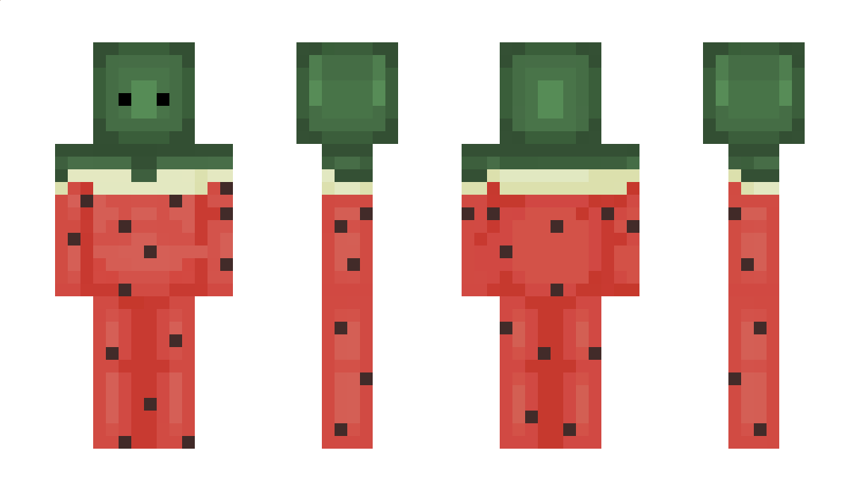 2WvW2 Minecraft Skin