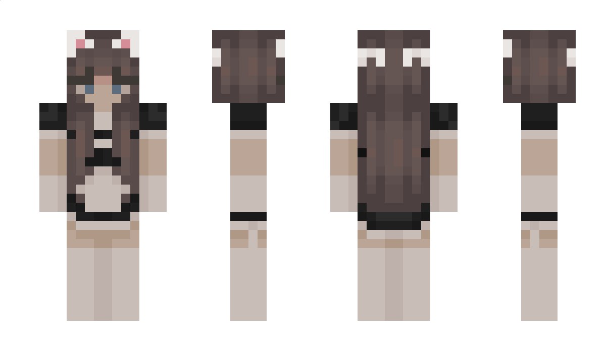 EV_USTASI Minecraft Skin