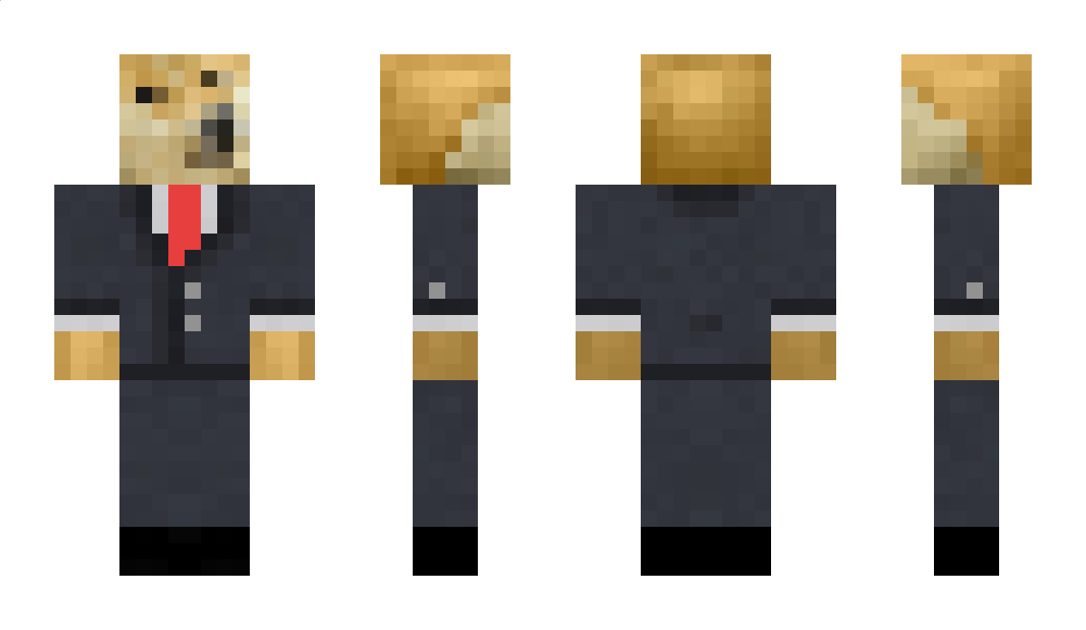 LeCoolDoge Minecraft Skin