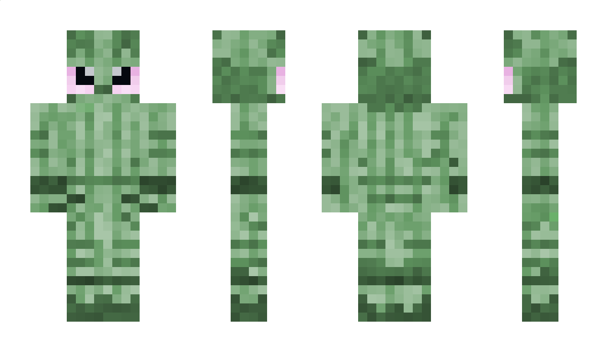 binxstinks Minecraft Skin