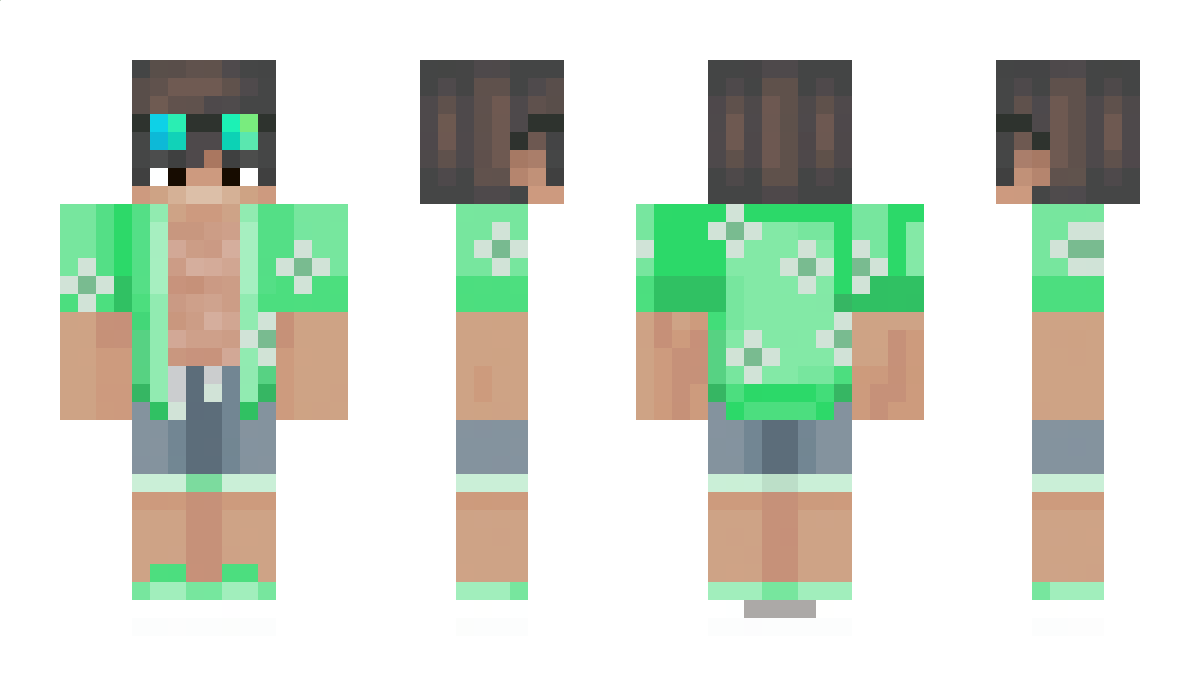MYDRO1338 Minecraft Skin