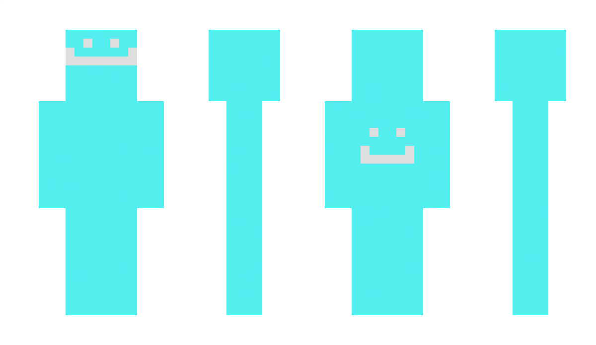 NikiTCz_ Minecraft Skin