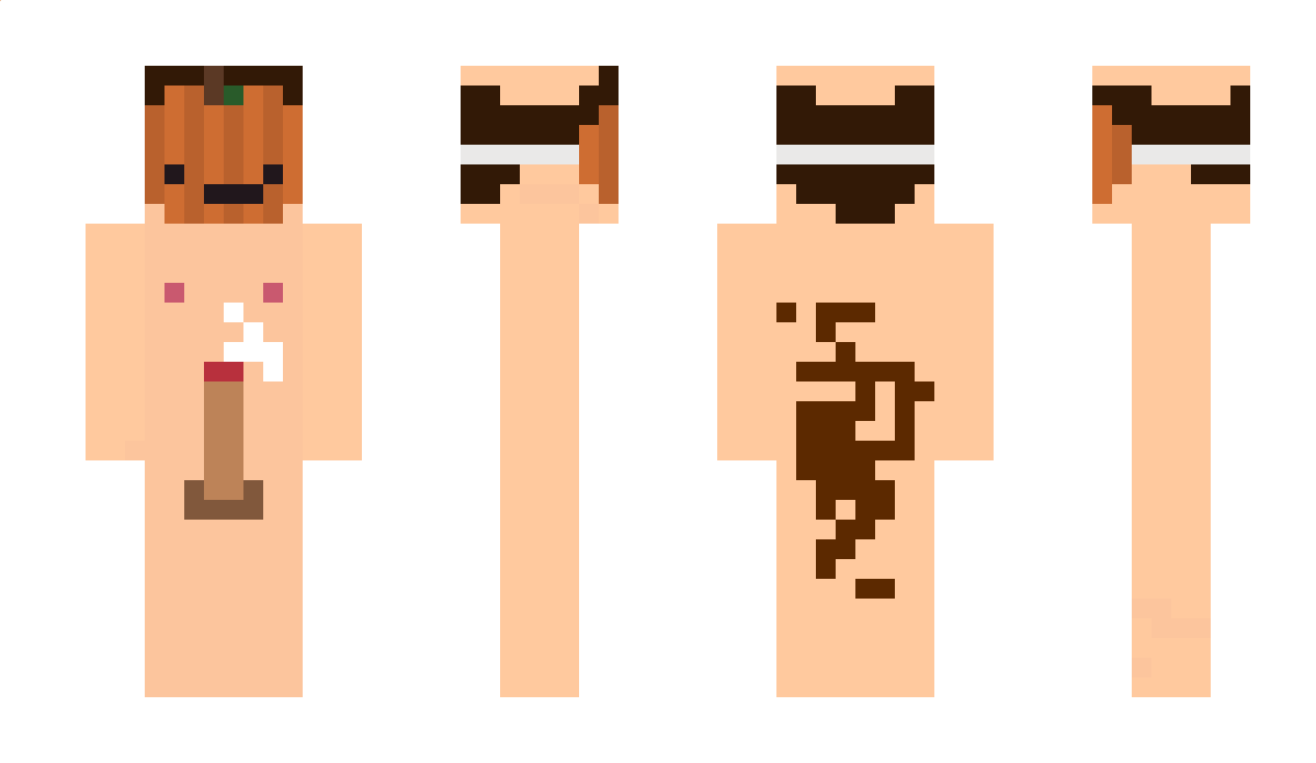 SnowTrixx Minecraft Skin