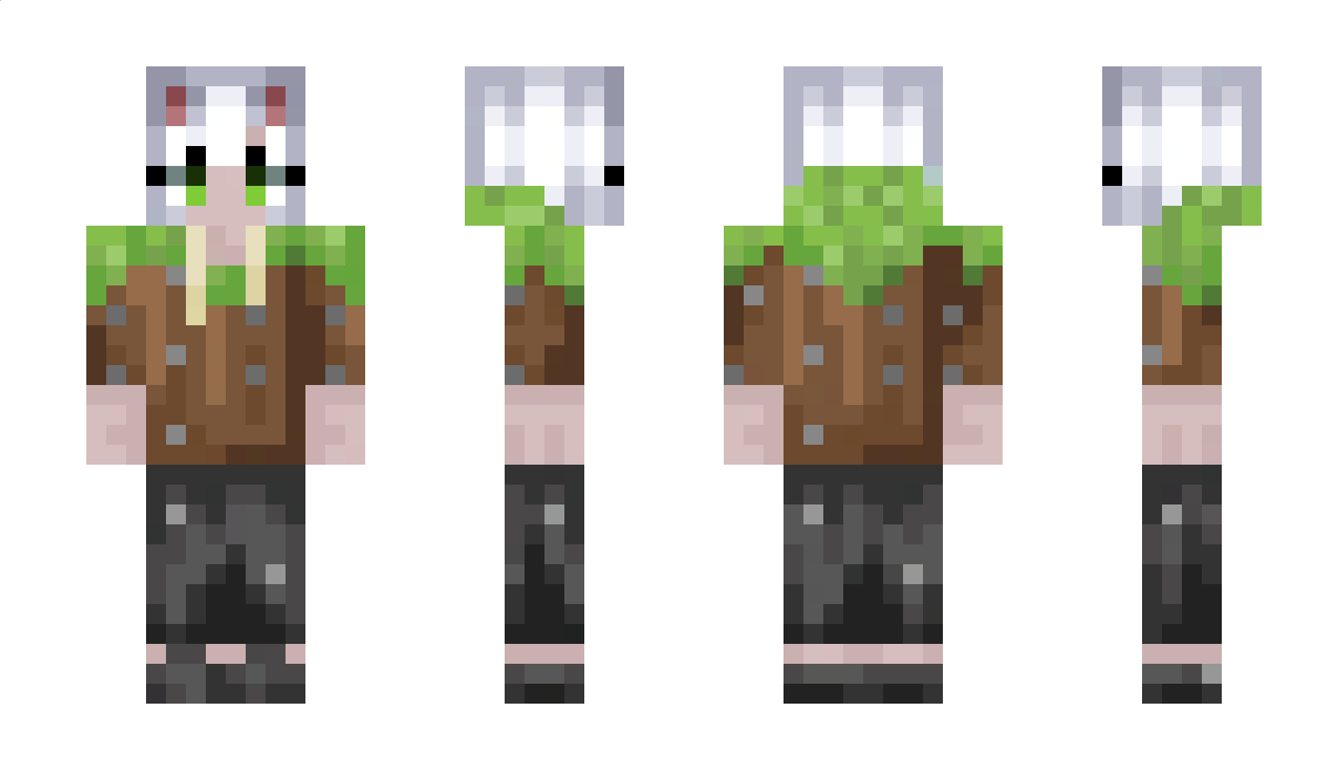 Druyx Minecraft Skin