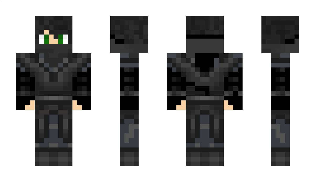 Dister Minecraft Skin