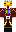 Elton433_yt Minecraft Skin