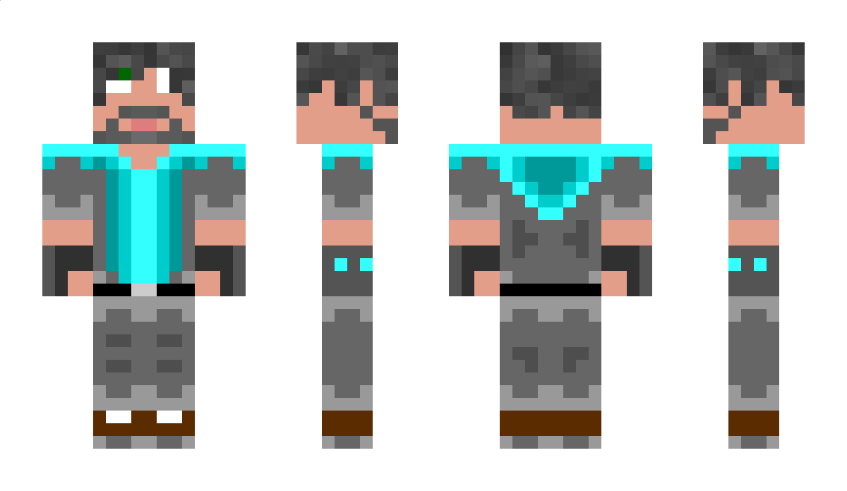 david11 Minecraft Skin