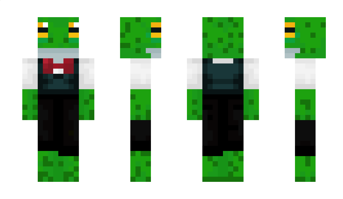 DragonTrainr964 Minecraft Skin