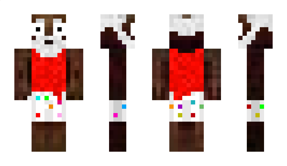 vasabrasa Minecraft Skin