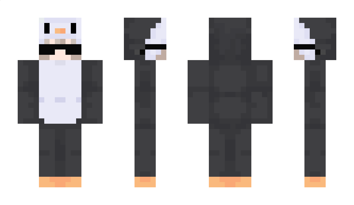 temini_ Minecraft Skin