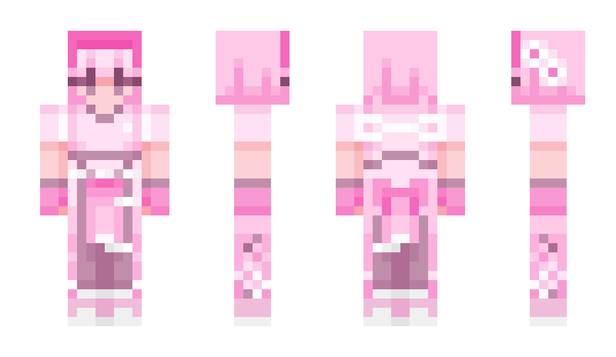 TheDamester Minecraft Skin