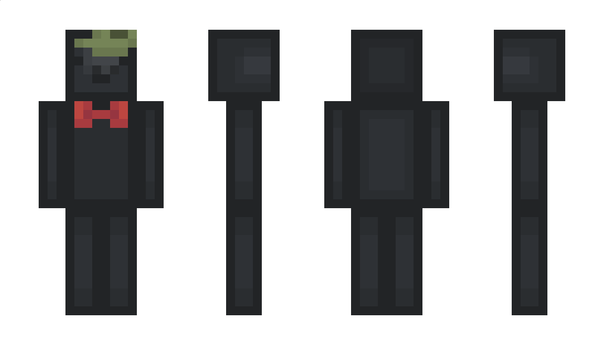 pLp Minecraft Skin