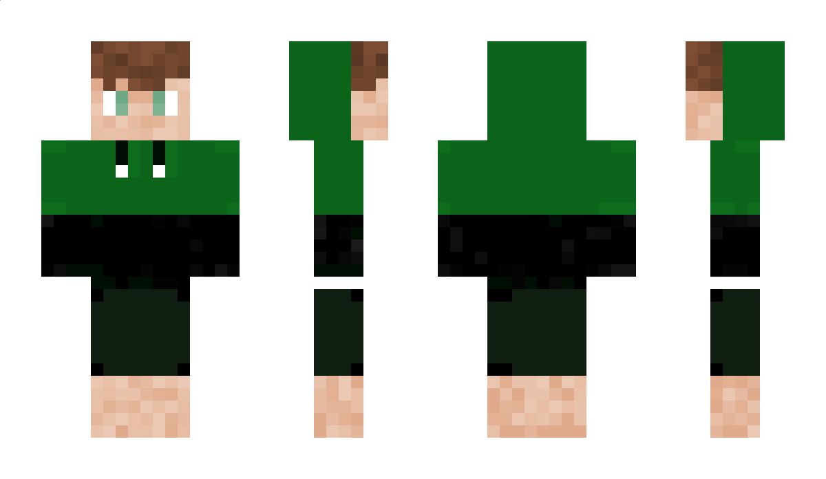 bulbasaurfan12 Minecraft Skin