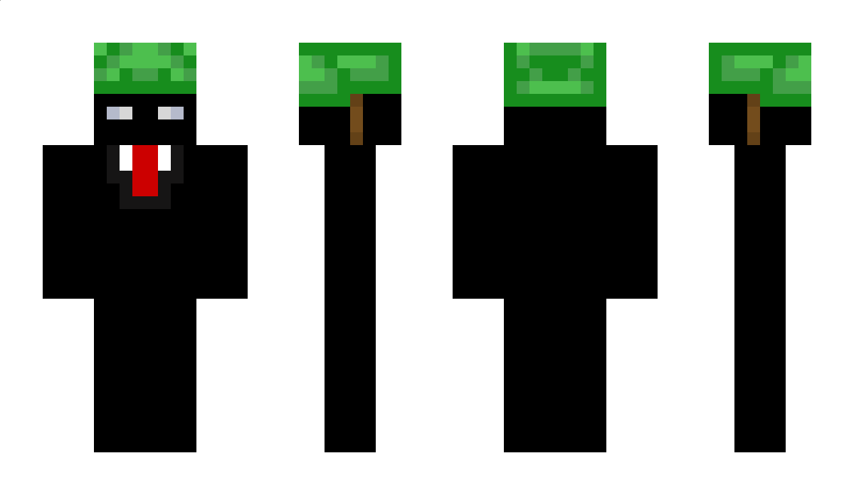 TurtleAT Minecraft Skin