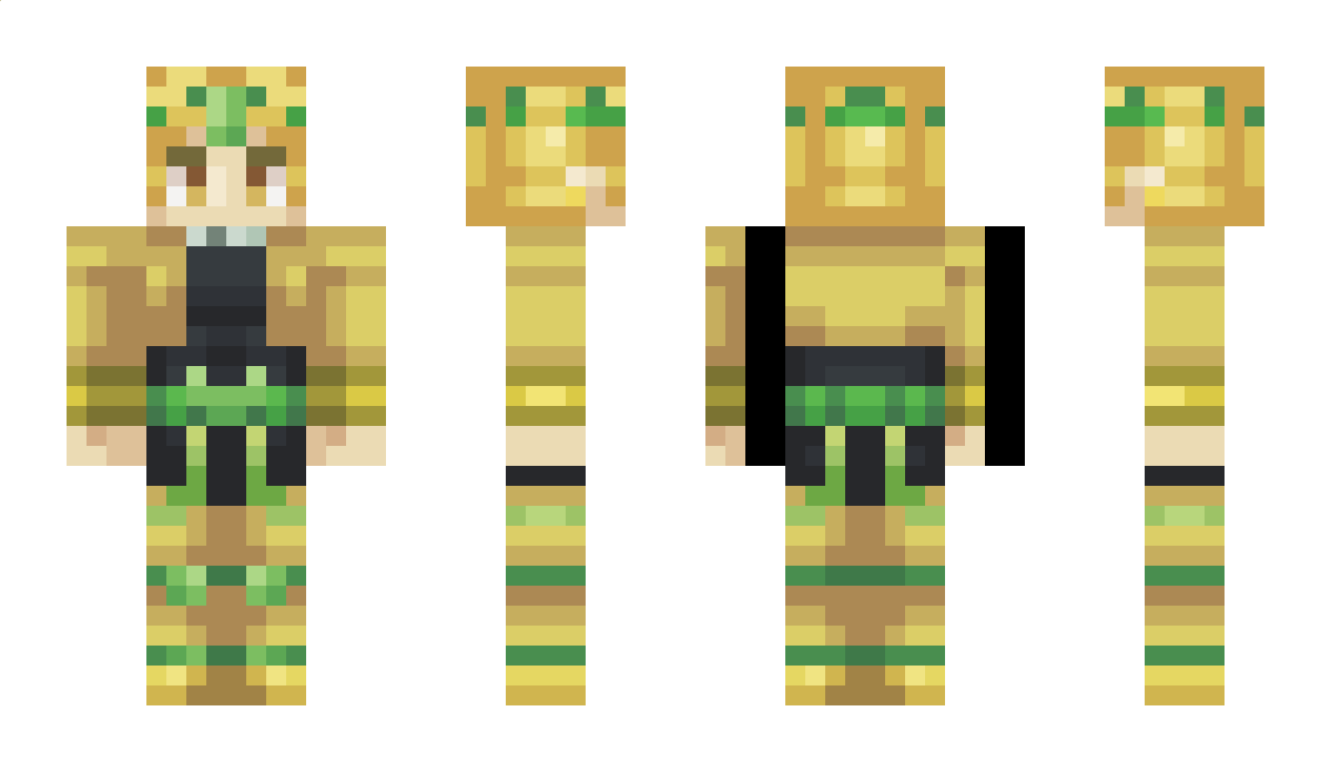 IronMC1105 Minecraft Skin