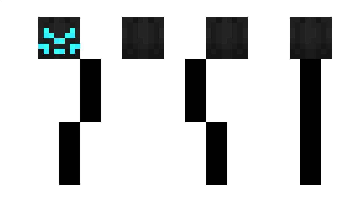 Plattenladen Minecraft Skin