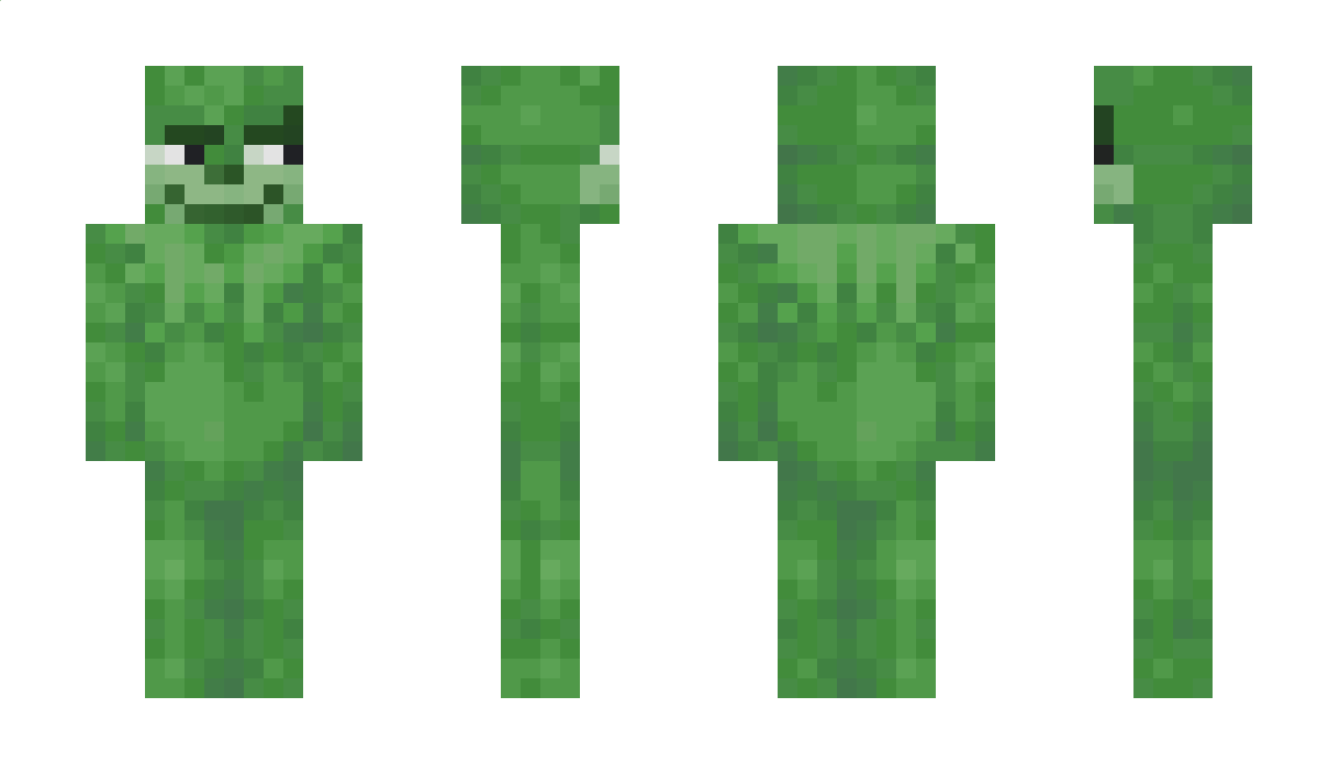 nooyus Minecraft Skin