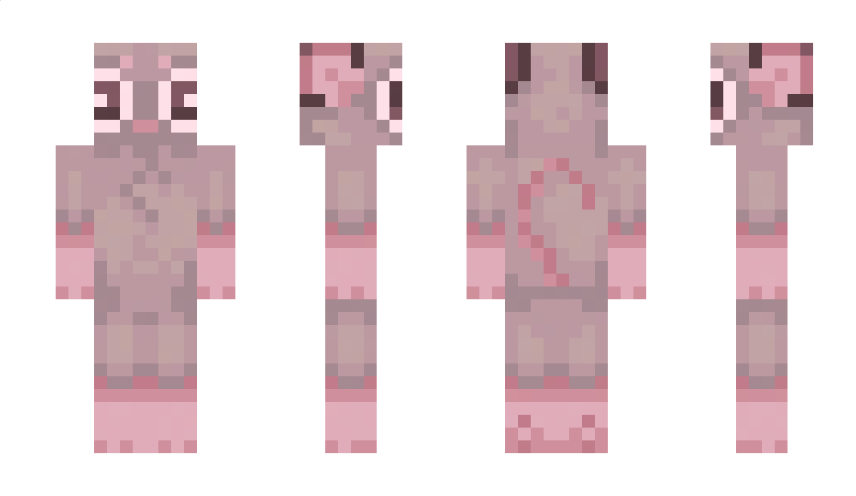 numkinn Minecraft Skin