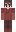 HiHiBird Minecraft Skin