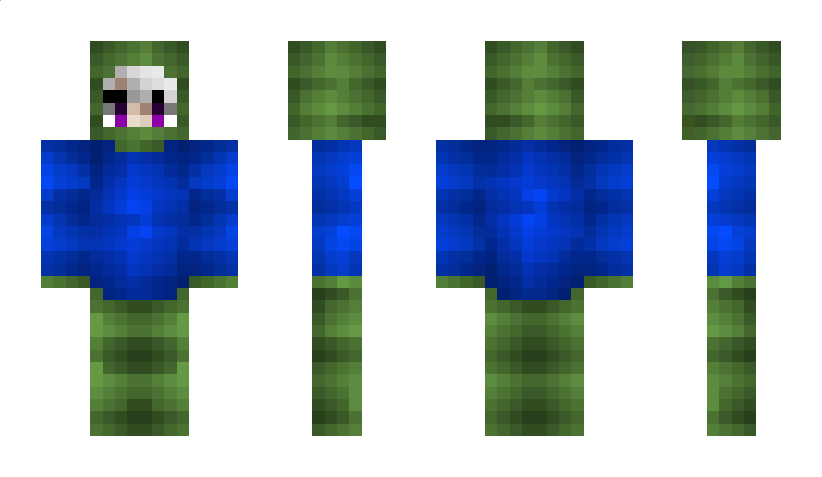 2343 Minecraft Skin