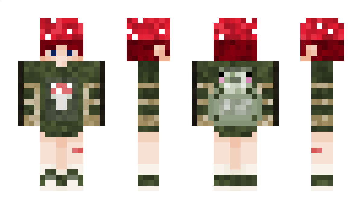 ungeordnete Minecraft Skin