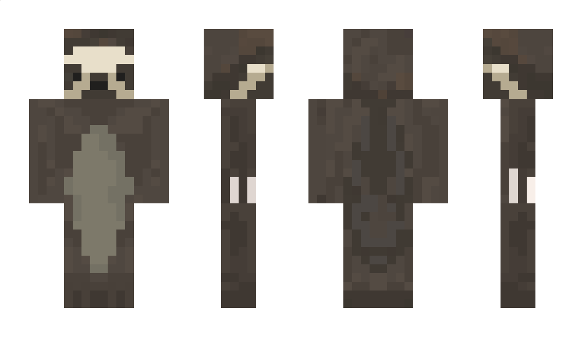 practor009 Minecraft Skin