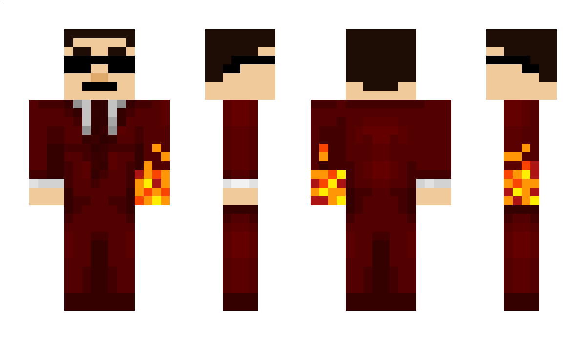 Niksa67591 Minecraft Skin