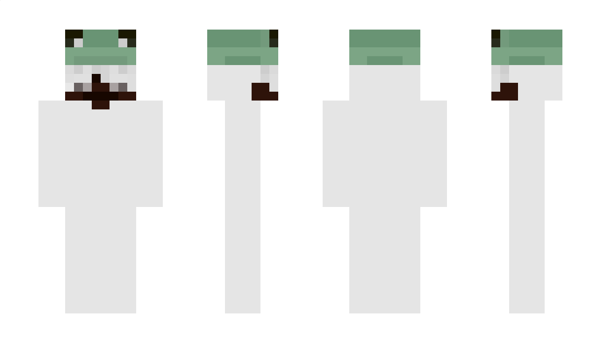 CoubyD Minecraft Skin