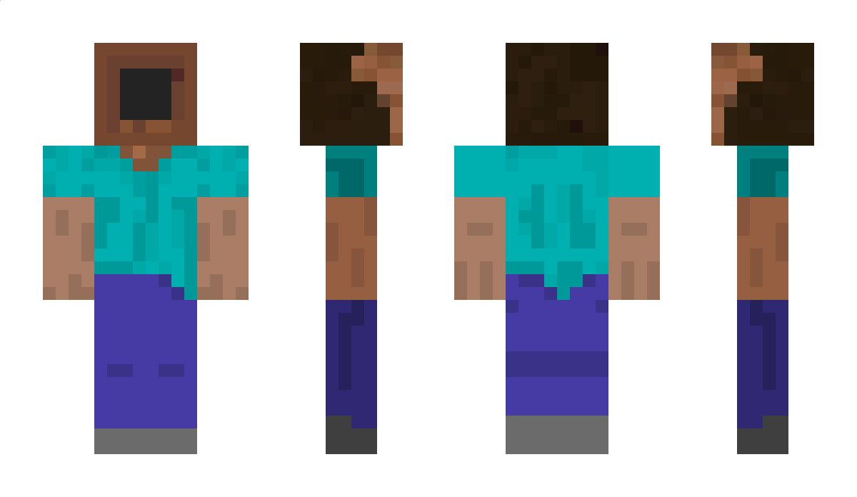 Vibecraft Minecraft Skin