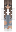 venilla Minecraft Skin