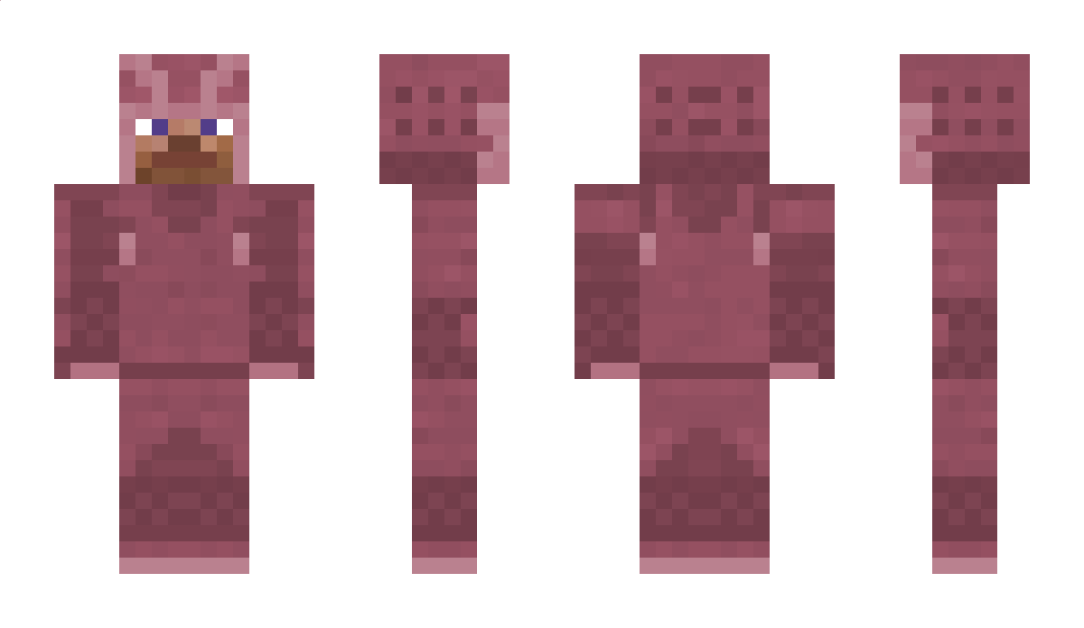 Fourteen Minecraft Skin