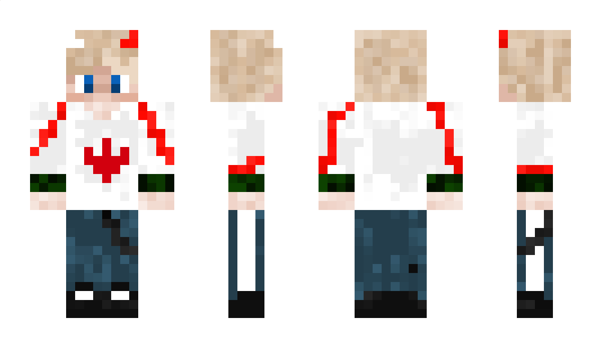 FallDmgMcGe Minecraft Skin