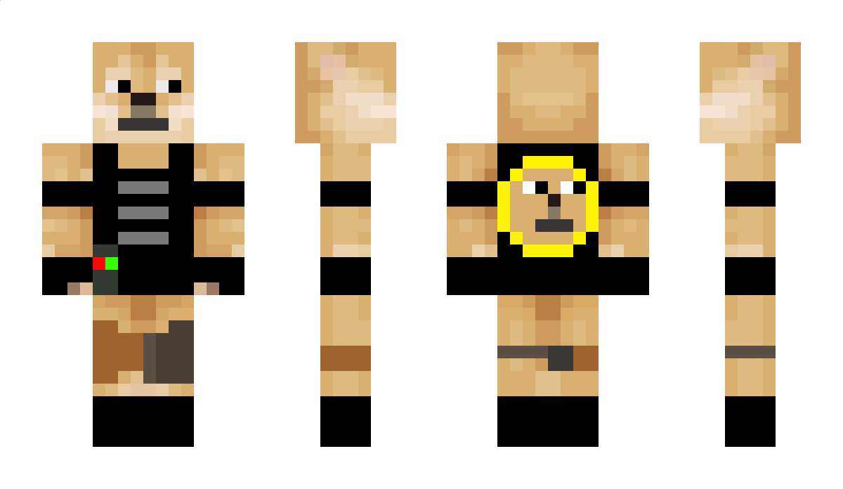 The_Random_Doge Minecraft Skin