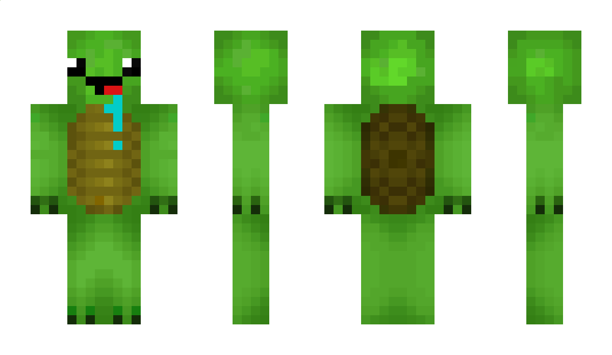 turtle1234 Minecraft Skin