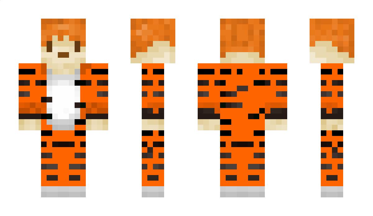 tiggy10tigs Minecraft Skin