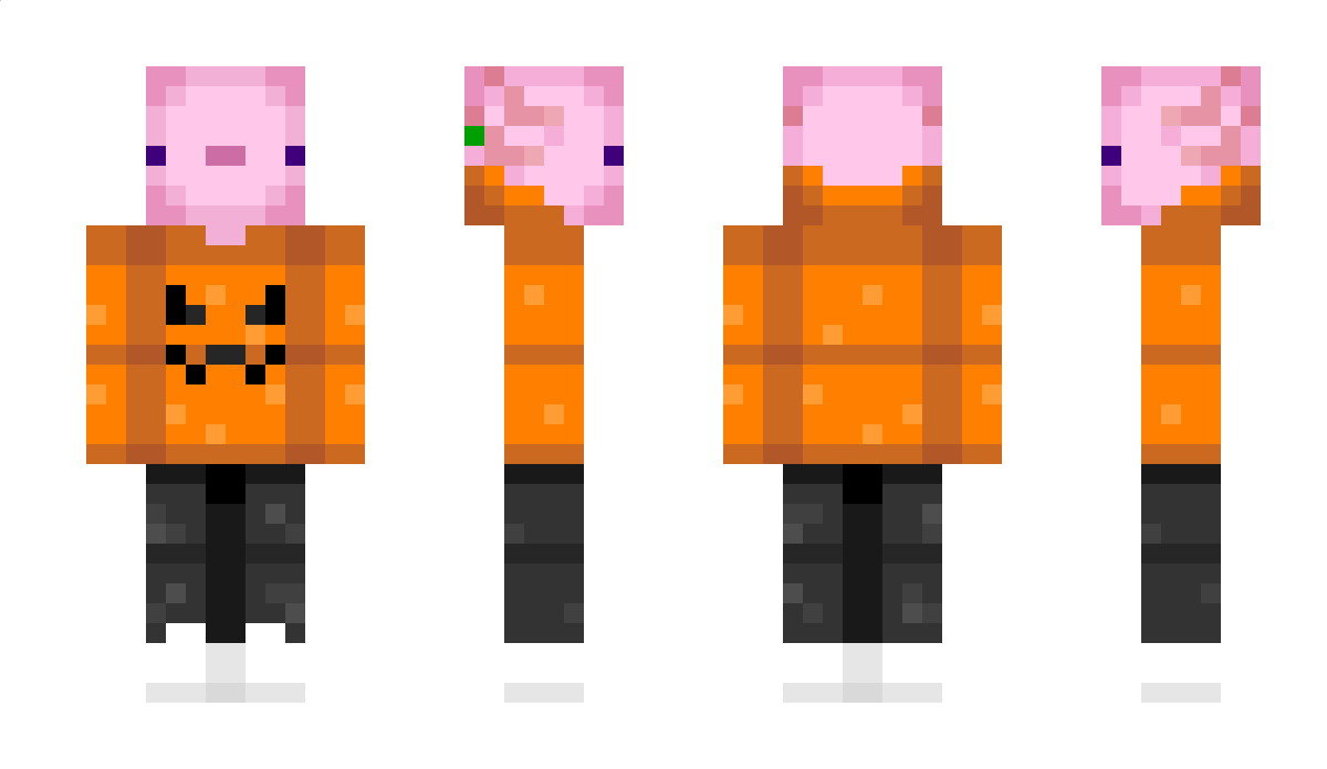 Seba41330 Minecraft Skin