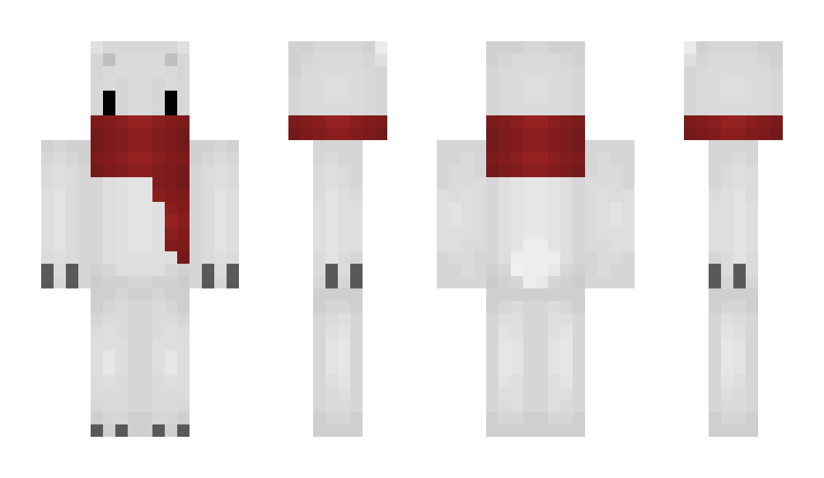 _Flag_E_ Minecraft Skin