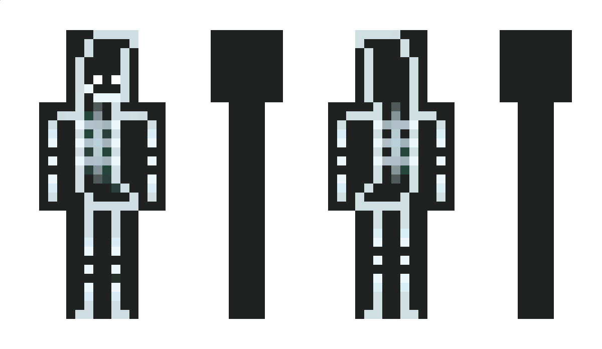 FSer_ Minecraft Skin