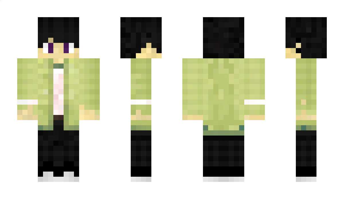 _acoustique Minecraft Skin