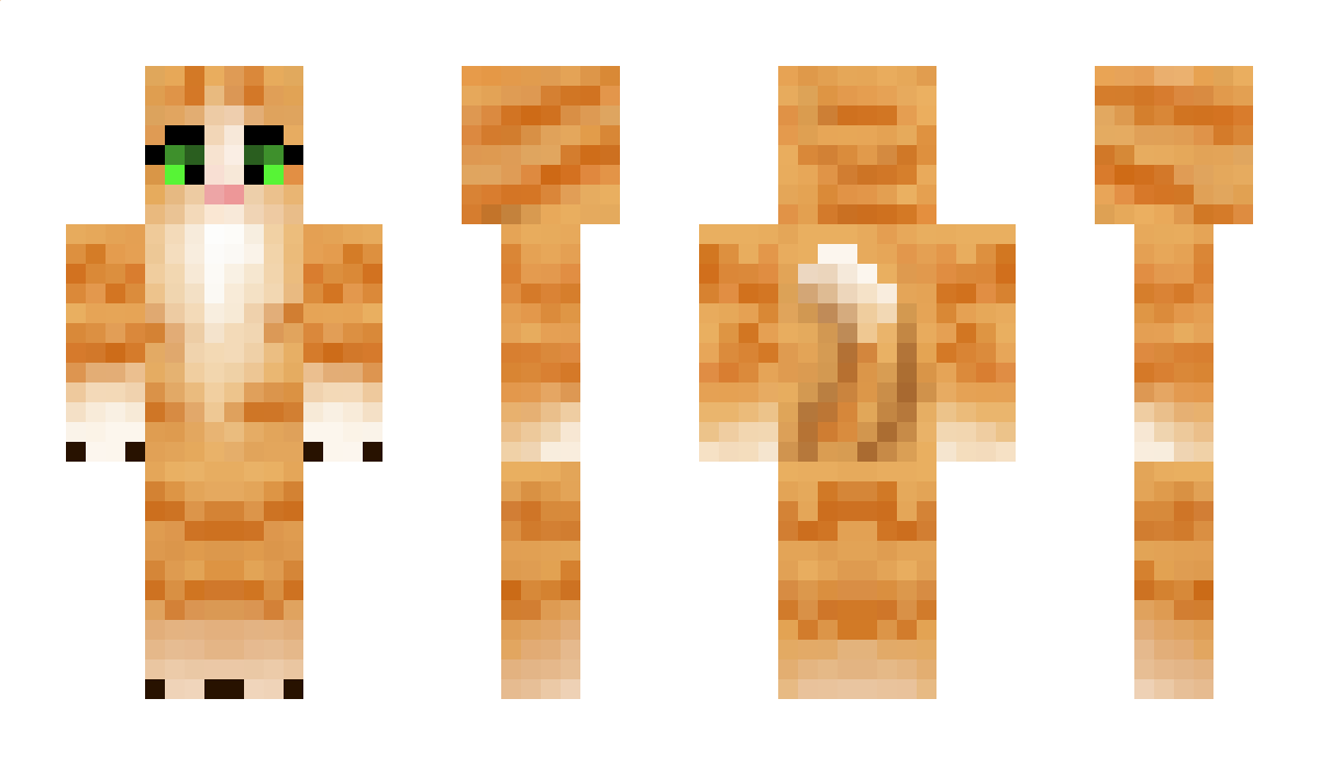 naivecat Minecraft Skin