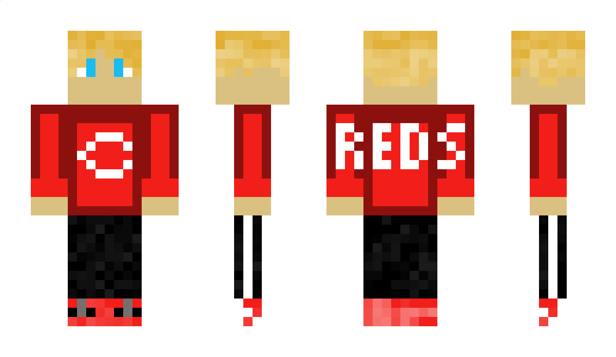 NotDannerd Minecraft Skin