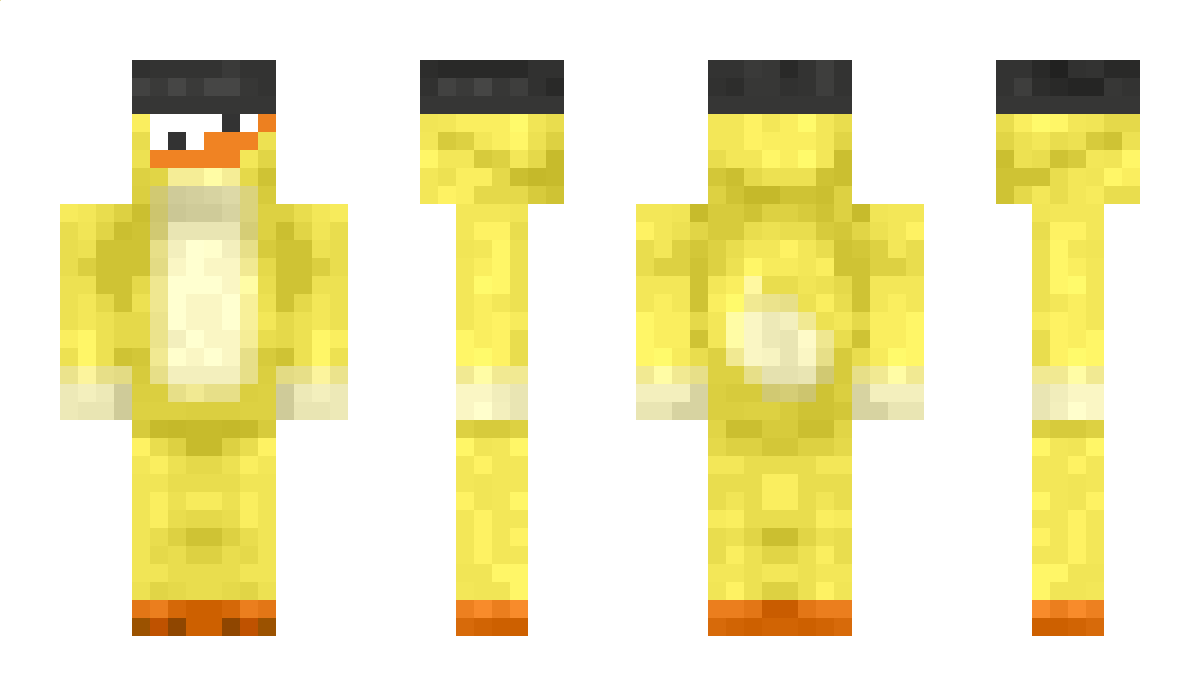 MRDUCK1206 Minecraft Skin