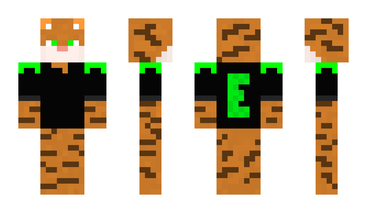 3Katzen Minecraft Skin