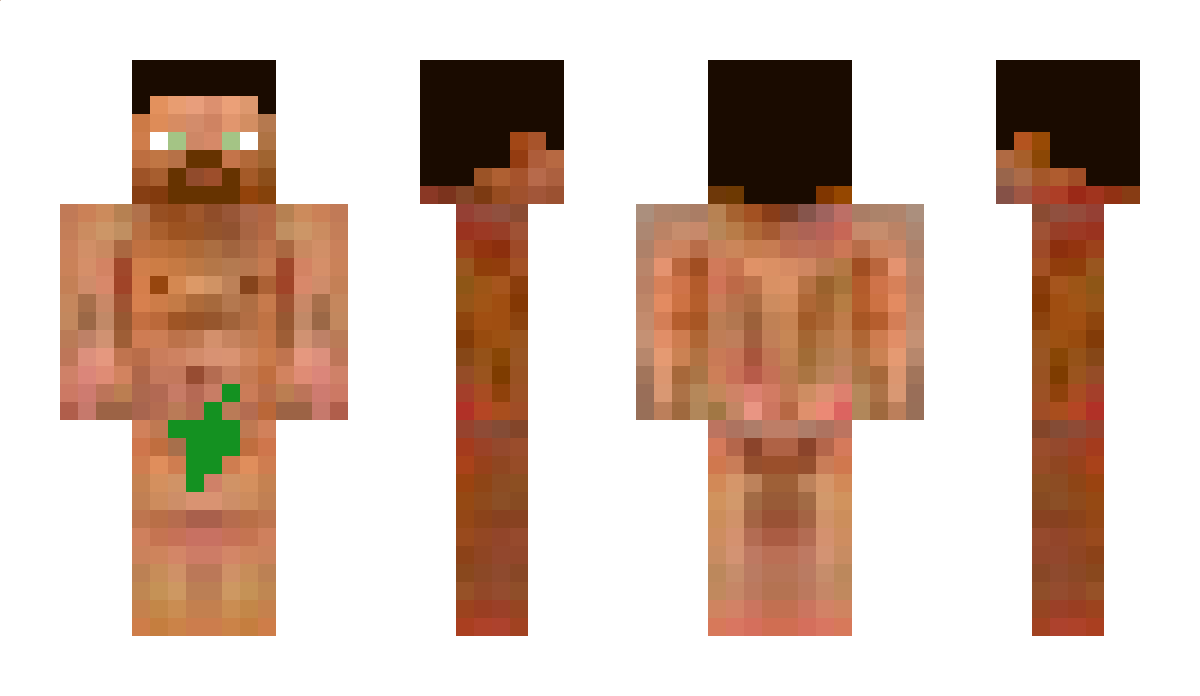 ariel1212111 Minecraft Skin