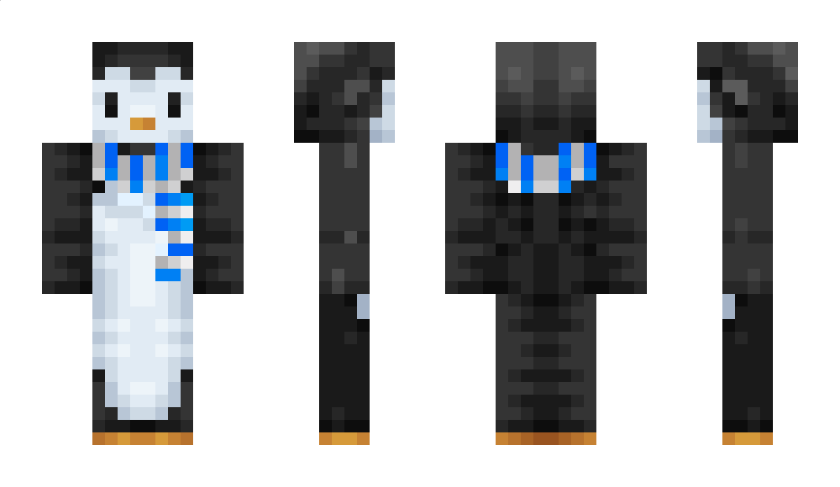 ArrowQuackAttack Minecraft Skin