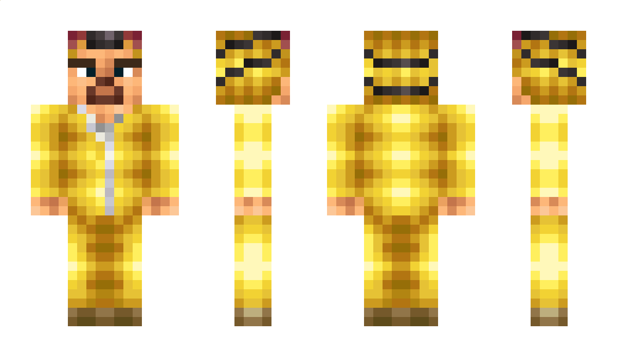 Sucher Minecraft Skin