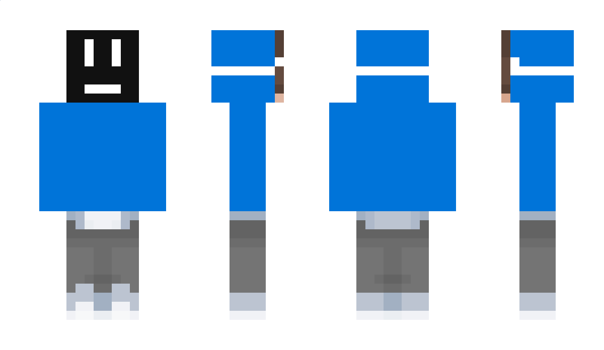 INVISM3589 Minecraft Skin